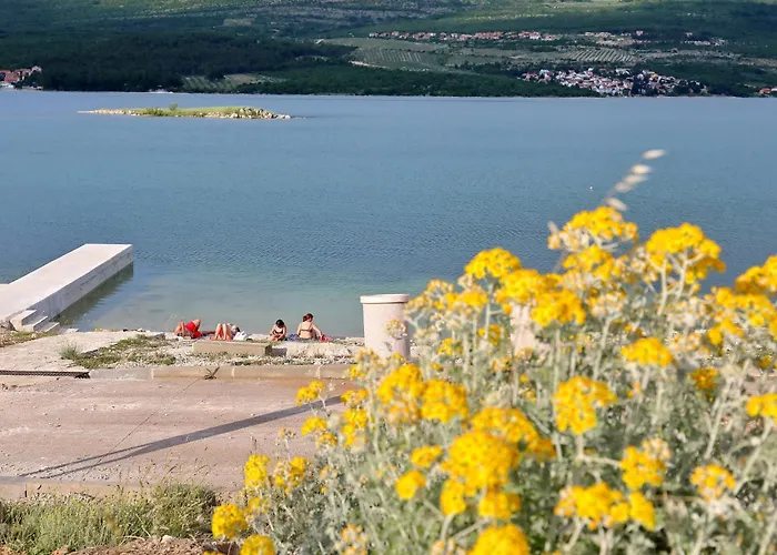 Σπίτι διακοπών House With A Swimming Pool - Cuskijas, Novigrad - 24776 Pridraga